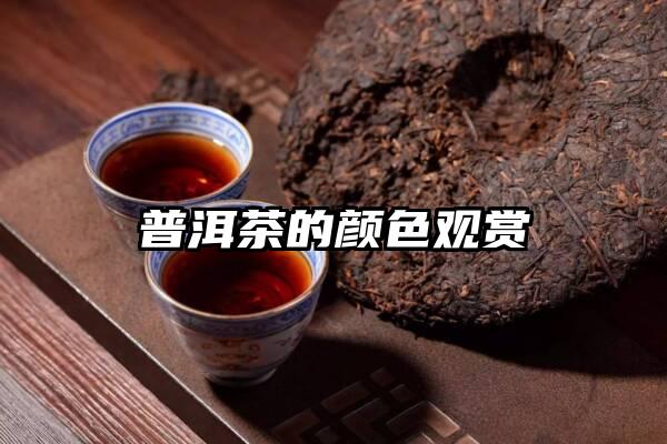 普洱茶的颜色观赏