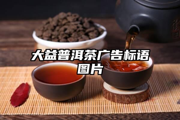 大益普洱茶广告标语图片