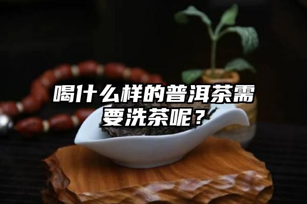 喝什么样的普洱茶需要洗茶呢？