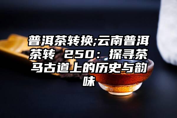 普洱茶转换;云南普洱茶转 250：探寻茶马古道上的历史与韵味