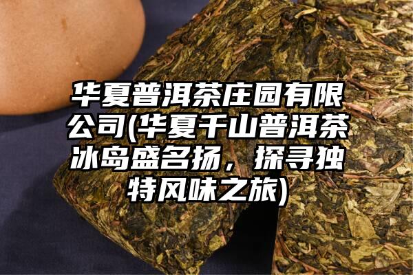 华夏普洱茶庄园有限公司(华夏千山普洱茶冰岛盛名扬，探寻独特风味之旅)