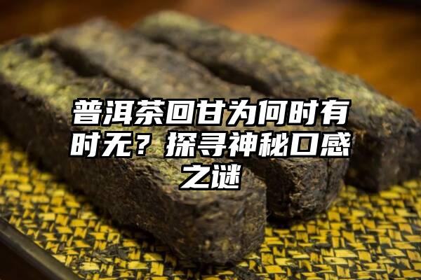 普洱茶回甘为何时有时无？探寻神秘口感之谜