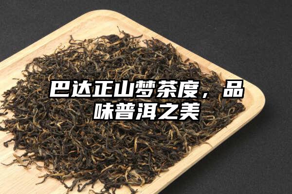 巴达正山梦茶度，品味普洱之美