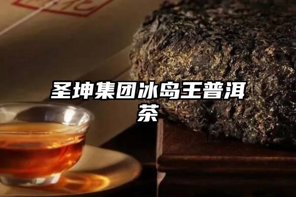 圣坤集团冰岛王普洱茶