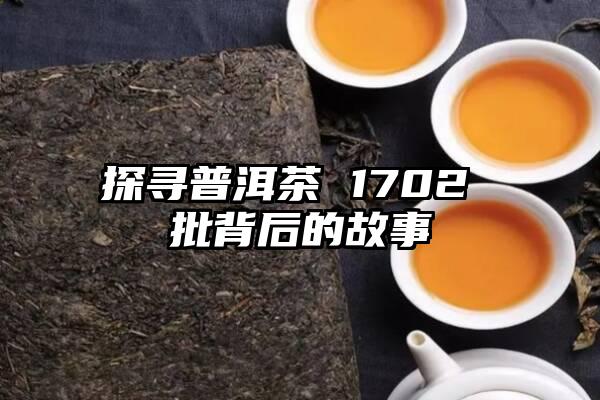 探寻普洱茶 1702 批背后的故事