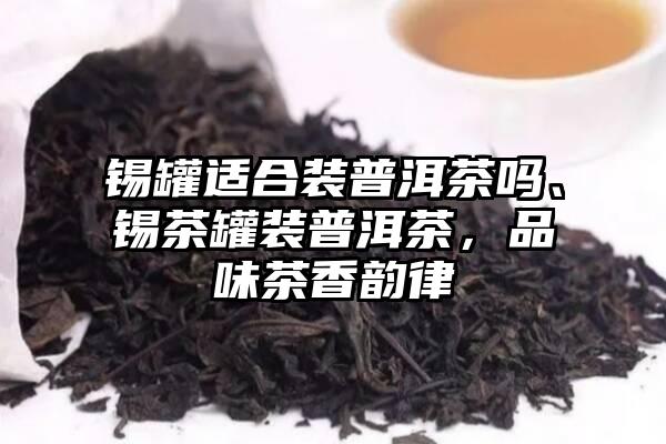 锡罐适合装普洱茶吗、锡茶罐装普洱茶，品味茶香韵律