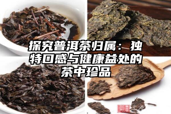 探究普洱茶归属：独特口感与健康益处的茶中珍品