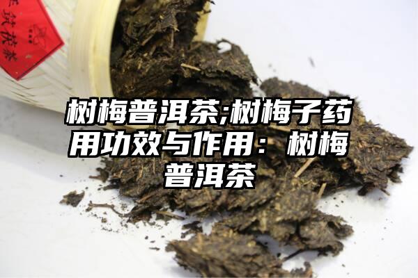 树梅普洱茶;树梅子药用功效与作用：树梅普洱茶