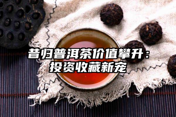 昔归普洱茶价值攀升：投资收藏新宠