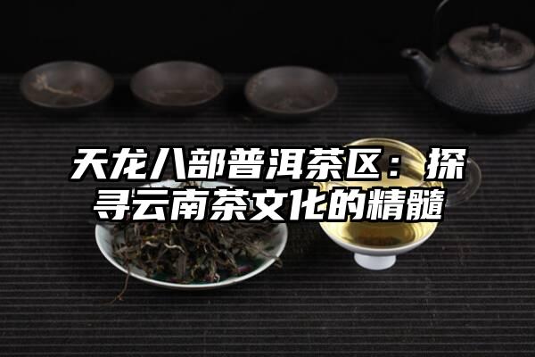 天龙八部普洱茶区：探寻云南茶文化的精髓