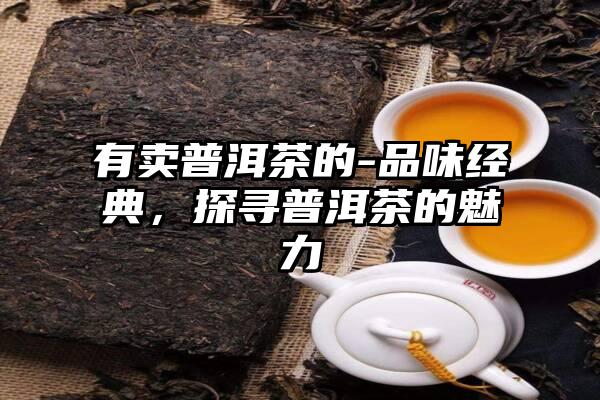 有卖普洱茶的-品味经典，探寻普洱茶的魅力