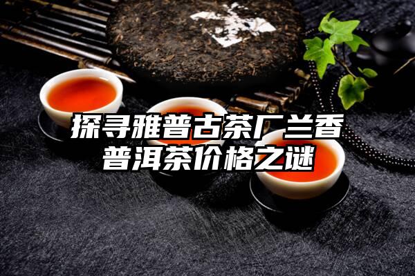 探寻雅普古茶厂兰香普洱茶价格之谜