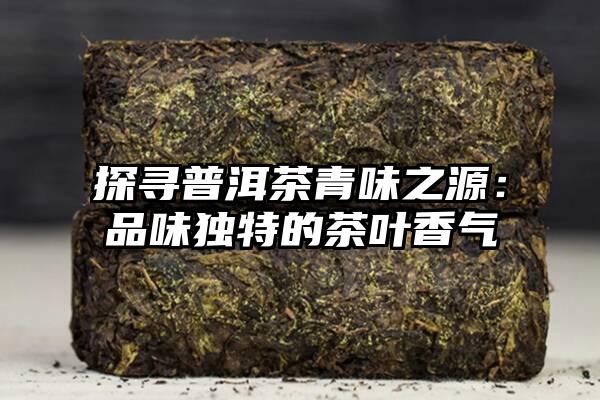 探寻普洱茶青味之源：品味独特的茶叶香气