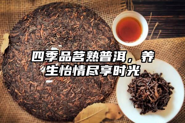 四季品茗熟普洱，养生怡情尽享时光