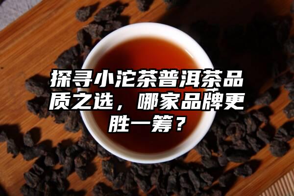 探寻小沱茶普洱茶品质之选，哪家品牌更胜一筹？