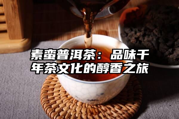 素蛮普洱茶：品味千年茶文化的醇香之旅