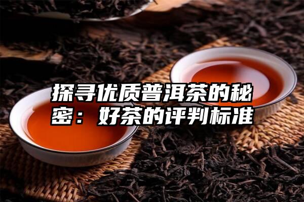 探寻优质普洱茶的秘密：好茶的评判标准